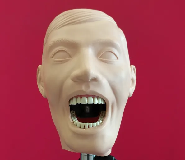 An anatomical model head with an open mouth against a red background