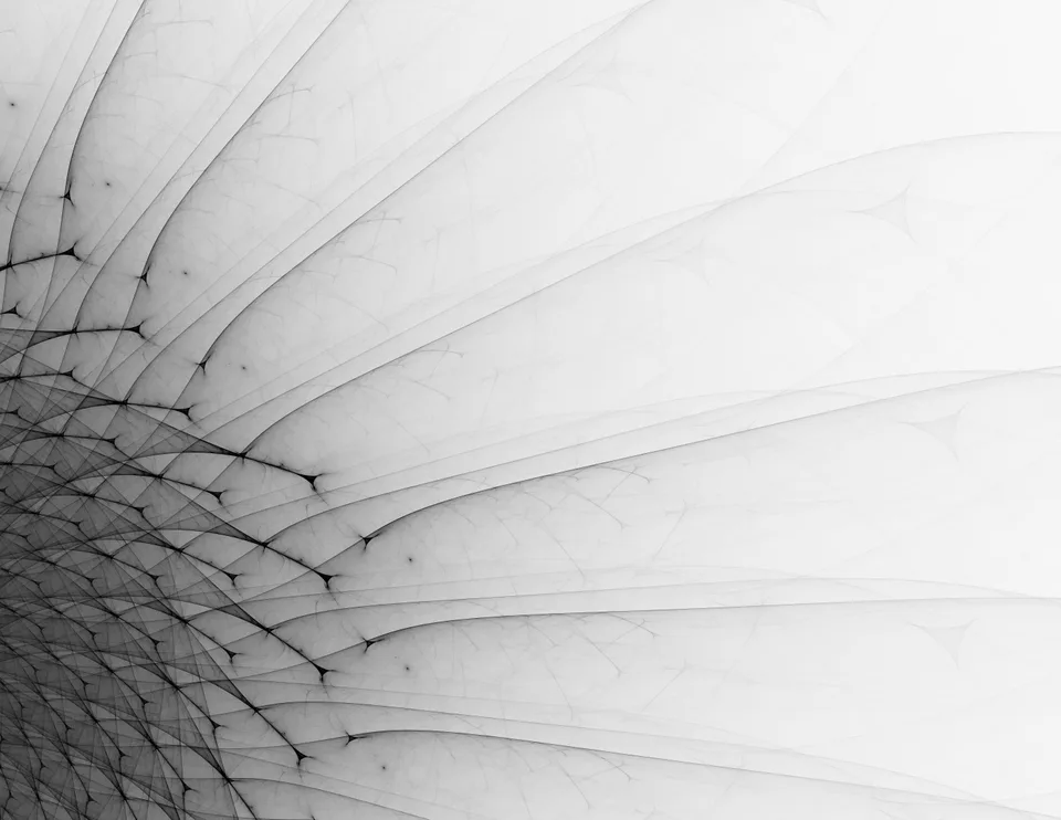 Fine black lines fan out from a dense curved web in the lower-left corner across a pale background.