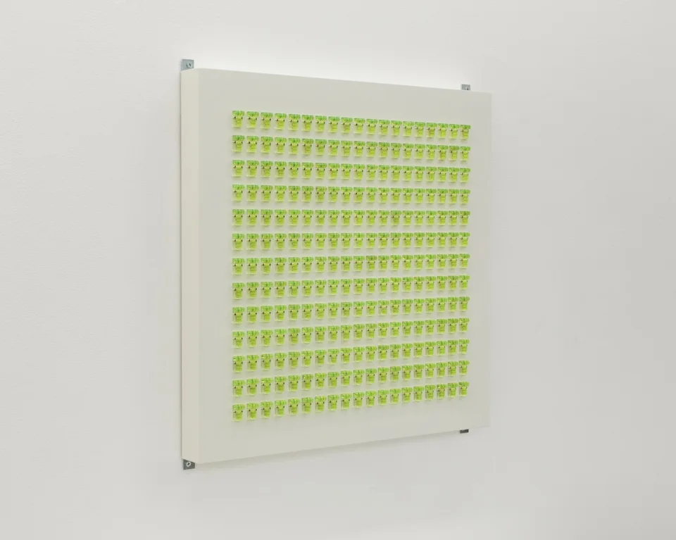 Lime-green fittings arranged in rows on a square panel